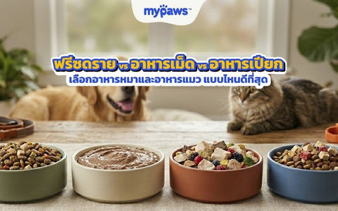 ฟรีซดราย vs อาหารเม็ด vs อาหารเปียก เลือกแบบไหนดี?