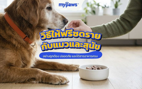 วิธีให้ฟรีซดรายแมวและสุนัขอย่างถูกต้อง ปลอดภัย