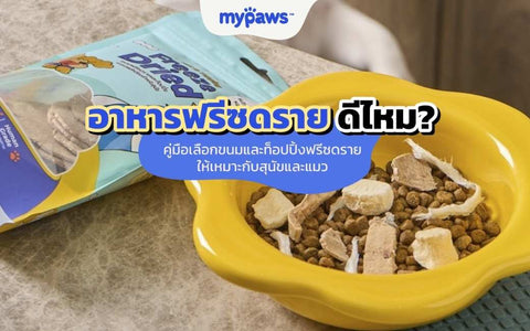 อาหารฟรีซดรายดีไหม? วิธีเลือกขนมสุนัข ขนมแมวแบบฟรีซดราย