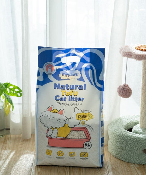 ทรายแมว