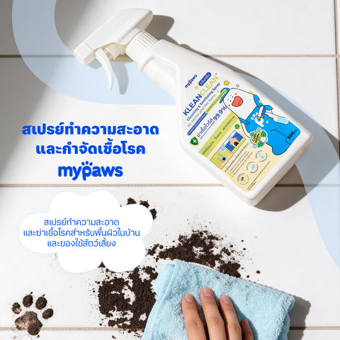 สเปรย์ทำความสะอาดและฆ่าเชื้อโรค 500ml