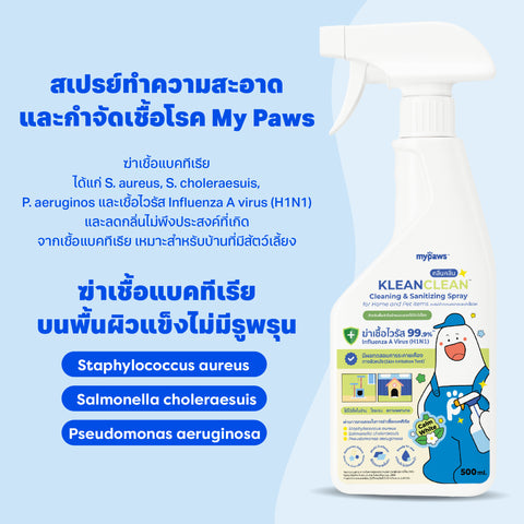 สเปรย์ทำความสะอาดและฆ่าเชื้อโรค 500ml
