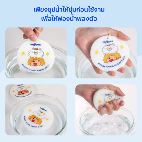 ฟองน้ำล้างจานสัตว์เลี้ยง