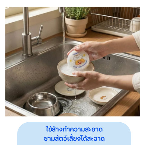 ฟองน้ำล้างจานสัตว์เลี้ยง
