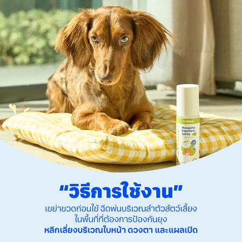 สเปรย์กันยุงสำหรับสัตว์เลี้ยง 100ml