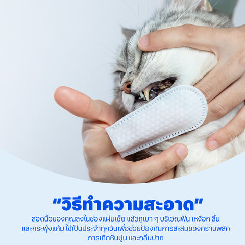 ปลอกนิ้วเช็ดฟัน 50ชิ้น