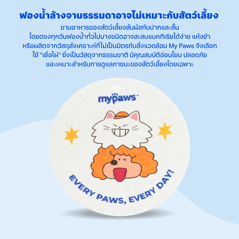 ฟองน้ำล้างจานสัตว์เลี้ยง