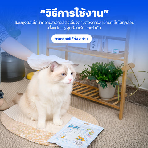 ถุงมือสปาทำความสะอาดสัตว์เลี้ยง กลิ่น Cherry Blossom