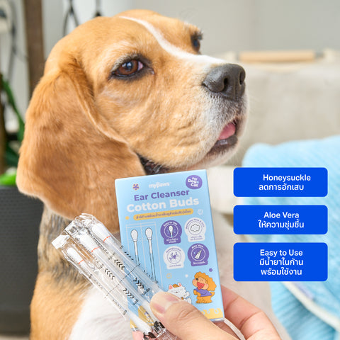 สำลีก้านพร้อมน้ำยาเช็ดหูสัตว์เลี้ยง 20 ชิ้น