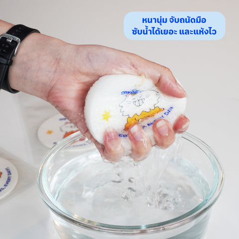 ฟองน้ำล้างจานสัตว์เลี้ยง