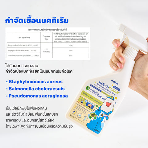 สเปรย์ทำความสะอาดและฆ่าเชื้อโรค 500ml