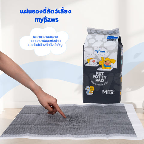 แผ่นรองฉี่สัตว์เลี้ยง รุ่นธรรมดา