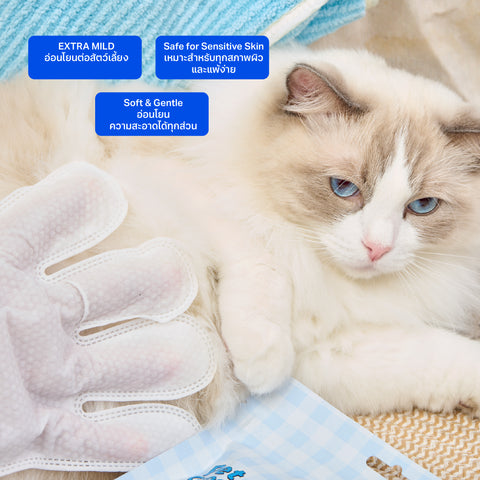 ถุงมือสปาทำความสะอาดสัตว์เลี้ยง กลิ่น Cherry Blossom