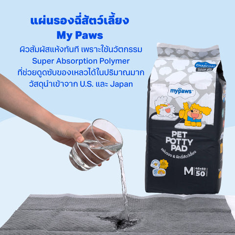 แผ่นรองฉี่สัตว์เลี้ยง รุ่นธรรมดา