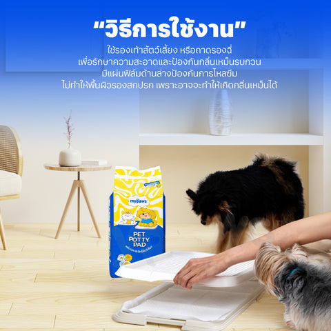 แผ่นรองฉี่สัตว์เลี้ยง รุ่นธรรมดา