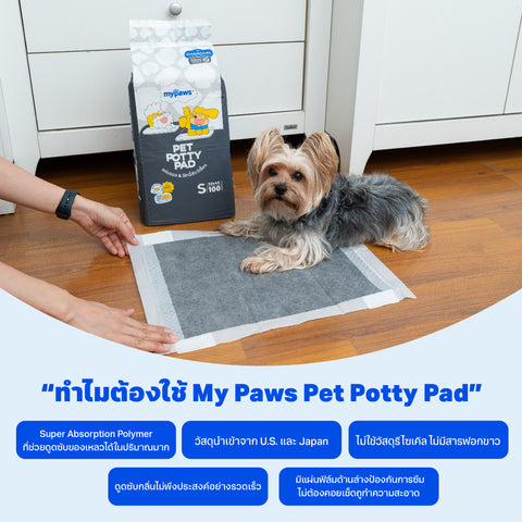 แผ่นรองฉี่สัตว์เลี้ยง รุ่นธรรมดา