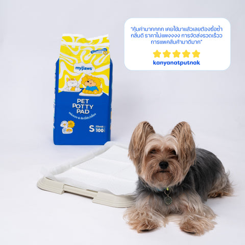 แผ่นรองฉี่สัตว์เลี้ยง รุ่นธรรมดา