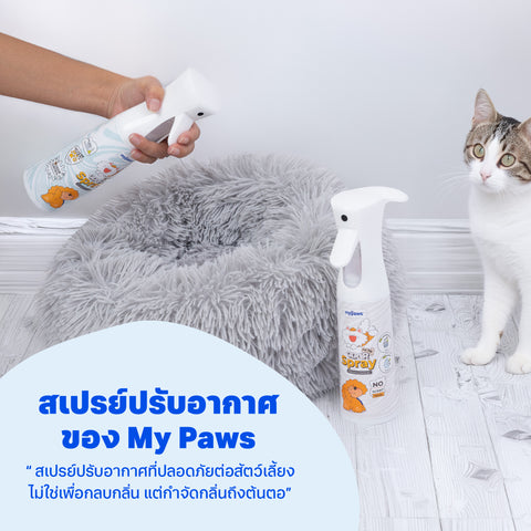 สเปรย์ดับกลิ่นเหม็น 300มล. ขนาดเติม Floral Garden