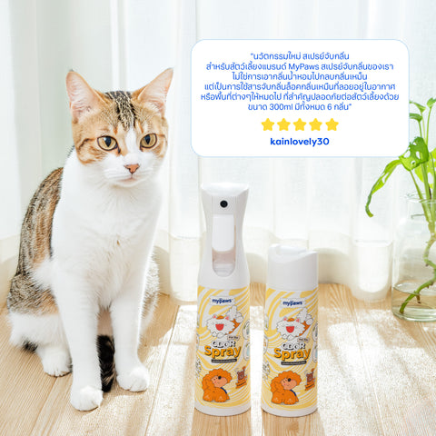 สเปรย์ดับกลิ่นเหม็น 300มล. ขนาดเติม Floral Garden