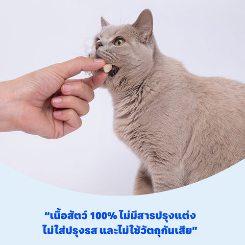 ฟรีซดราย สำหรับแมว เนื้ออกไก่