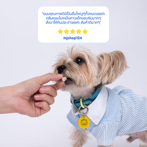 ฟรีซดราย สำหรับสุนัข เนื้ออกไก่