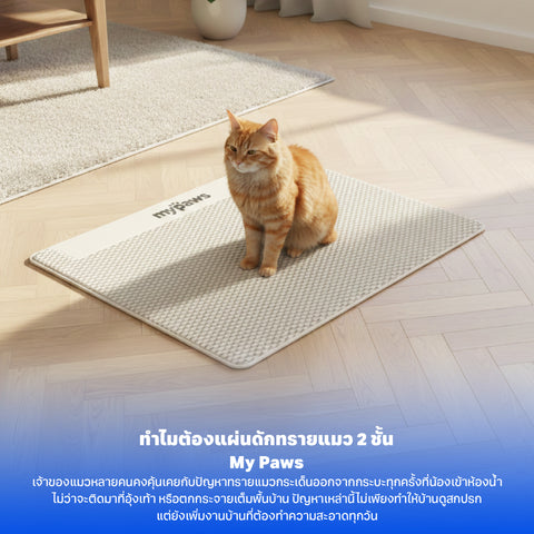 แผ่นดักทรายแมวสีครีม 45x60cm