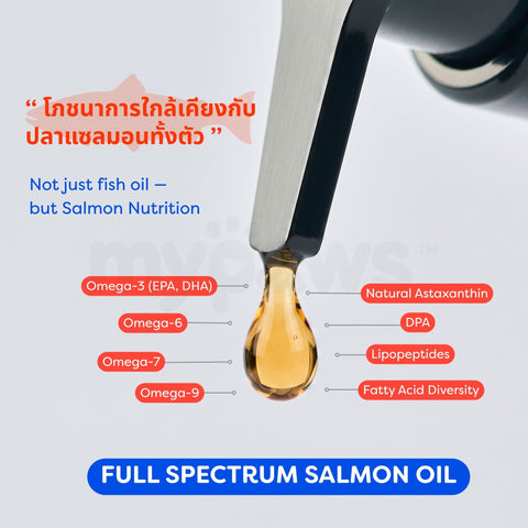 น้ำมันแซลมอนสำหรับสัตว์เลี้ยง