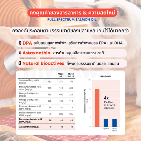 น้ำมันแซลมอนสำหรับสัตว์เลี้ยง