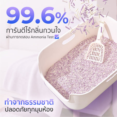 ทรายแมวเต้าหู้ กลิ่นชาองุ่น เพิ่มเม็ดดับกลิ่น 6ลิตร