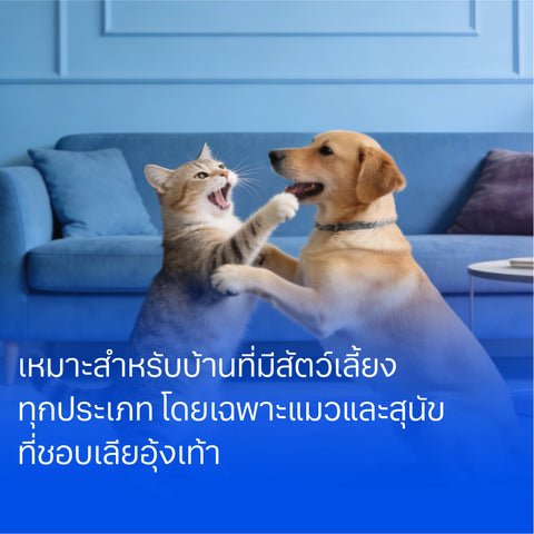 น้ำยาถูพื้น 1000มล. Canopy