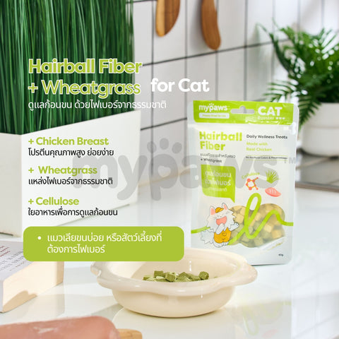 ฟรีซดรายบูสเตอร์ สำหรับสุนัข