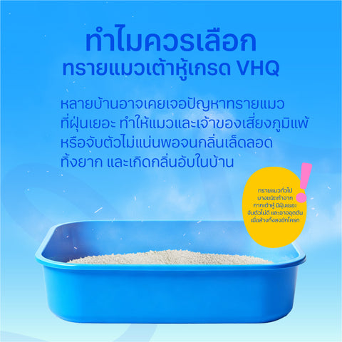 ทรายแมวเต้าหู้ 6ลิตร Flaked