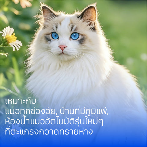 ทรายแมวเต้าหู้ 6ลิตร Flaked