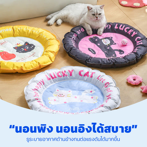 Keevii เจลที่นอนเย็นสำหรับสัตว์เลี้ยง