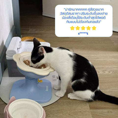 Keevii ชามอาหารสัตว์เลี้ยง ชามดอกไม้ สีชมพูดำ