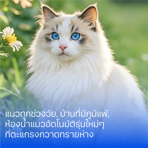 ทรายแมวเต้าหู้ 6ลิตร Peach