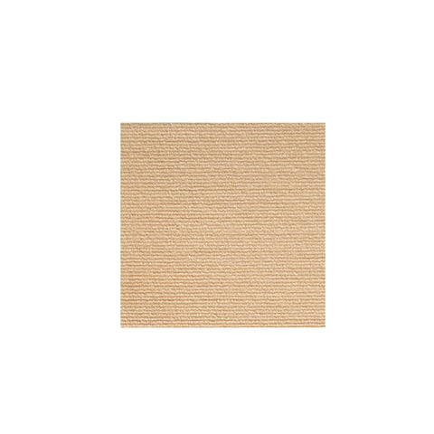 Pet Mat แผ่นรองกันลื่นสัตว์เลี้ยง ขนาด 30x30cm
