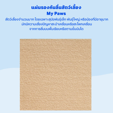Pet Mat แผ่นรองกันลื่นสัตว์เลี้ยง ขนาด 30x30cm