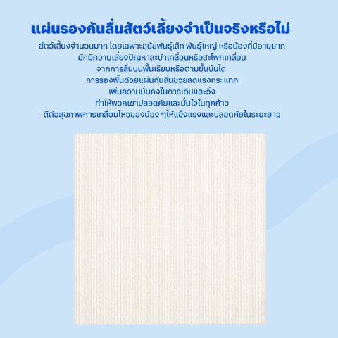 Pet Mat แผ่นรองกันลื่นสัตว์เลี้ยง ขนาด 30x30cm