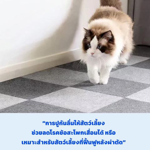 Pet Mat แผ่นรองกันลื่นสัตว์เลี้ยง ขนาด 30x30cm
