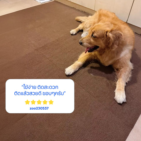 Pet Mat แผ่นรองกันลื่นสัตว์เลี้ยง ขนาด 30x30cm